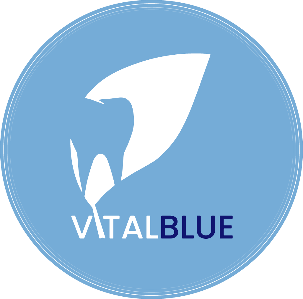 VITALBLUE_LOGO FULL (SEM SLOGAN)